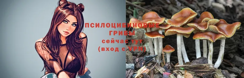 Псилоцибиновые грибы Magic Shrooms Дзержинский