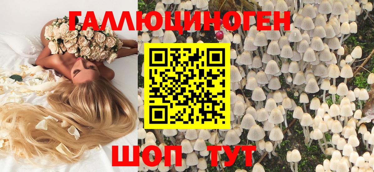 Галлюциногенные грибы MAGIC MUSHROOMS Дзержинский