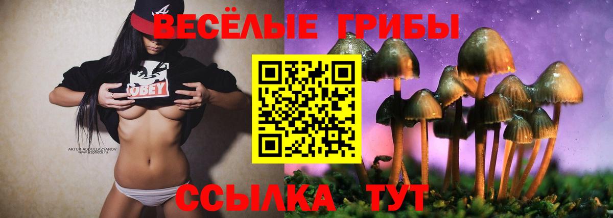 Галлюциногенные грибы Psilocybe  Вход с VPN  Дзержинский 